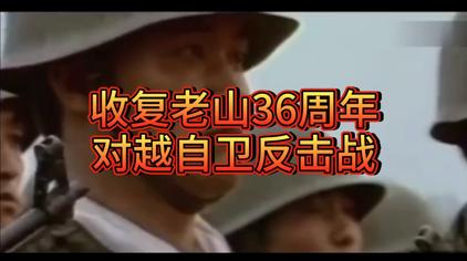 自卫越南反击战纪录片 - 西瓜视频